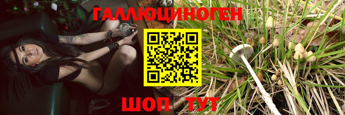 Псилоцибиновые грибы мухоморы  Вход с VPN  Курчалой 
